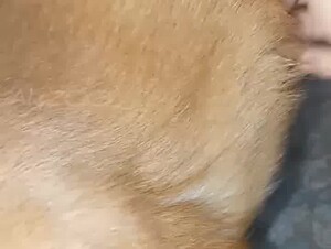 Thumb 8