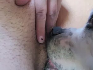 Thumb 6