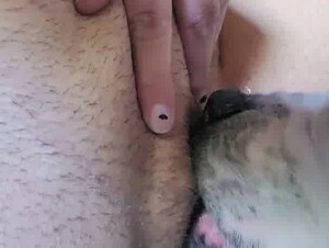 Thumb 7