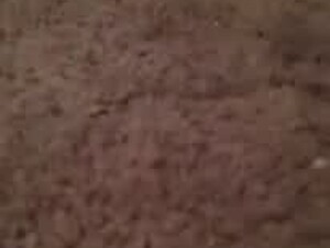 Thumb 10