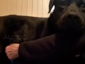 Bad Grandma