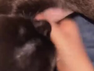 Girl Loves her Dog
