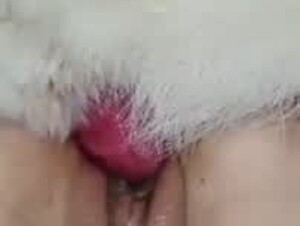 Thumb 6