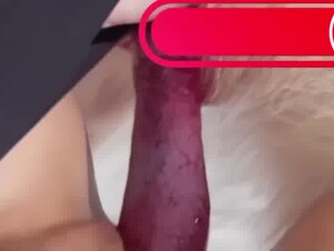 Clean pussy  for dog dick
