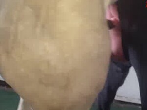 Thumb 6