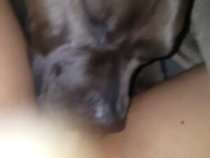 Late night lick