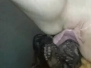 Thumb 6