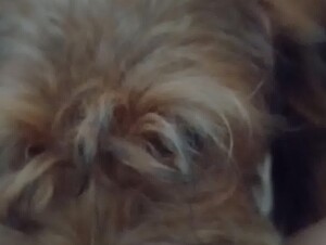 Milf pussy licked