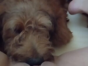 Thumb 10