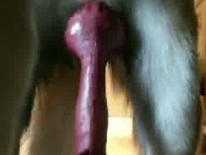 Thumb 10