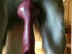 Thumb 6