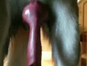 Thumb 7