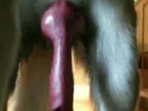 Thumb 8