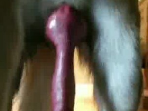 Thumb 9