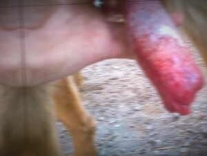 Thumb 7