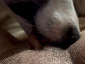 Thumb 10