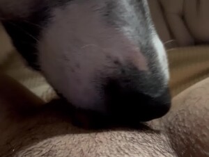 Thumb 9