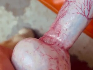 Thumb 6