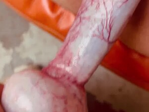 Thumb 8