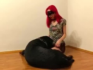 Pink hear getting a black dog