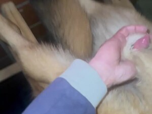 Thumb 7