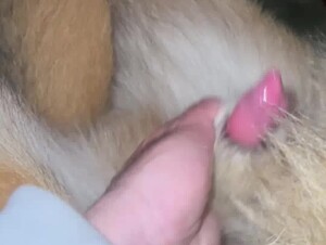 Thumb 8