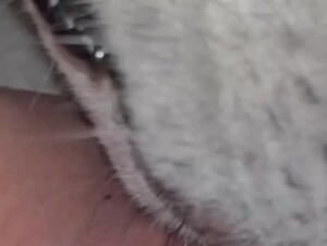 Thumb 8