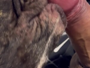 Thumb 10
