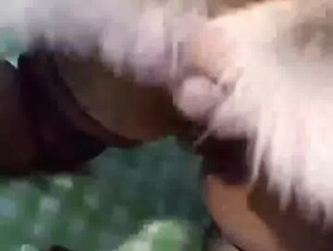 Thumb 7