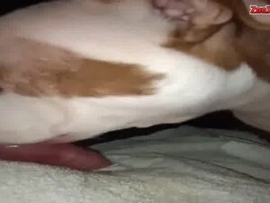 Thumb 10