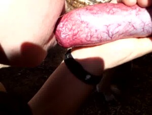 Thumb 6