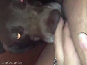 Licking