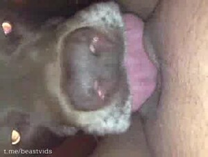 Thumb 9