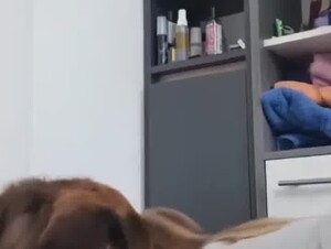 Thumb 8