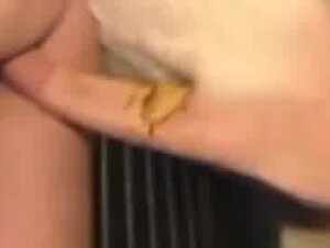 Thumb 4