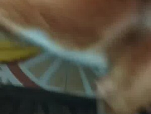 Thumb 6