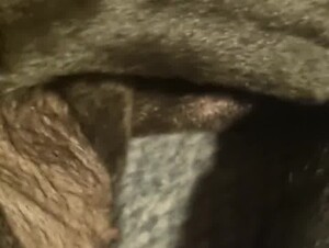 Thumb 10