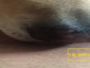Thumb 7