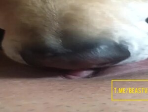 Thumb 9