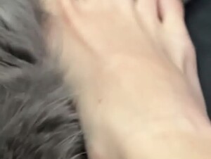 Cat & feet 1