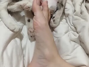 Thumb 6