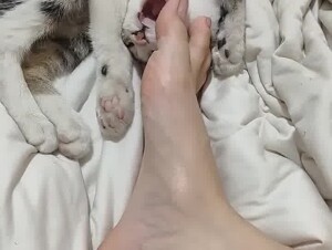Thumb 7