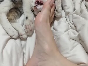 Thumb 8