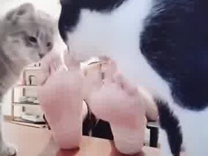 Thumb 7