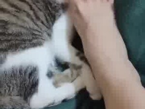 Thumb 6