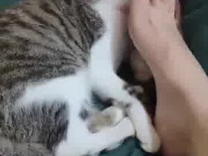 Thumb 7