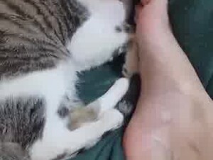 Thumb 8