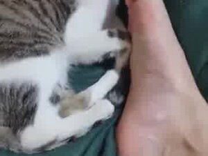 Thumb 9