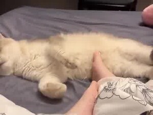 Thumb 6