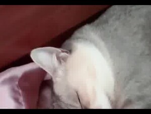 Thumb 7